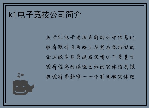 k1电子竞技公司简介